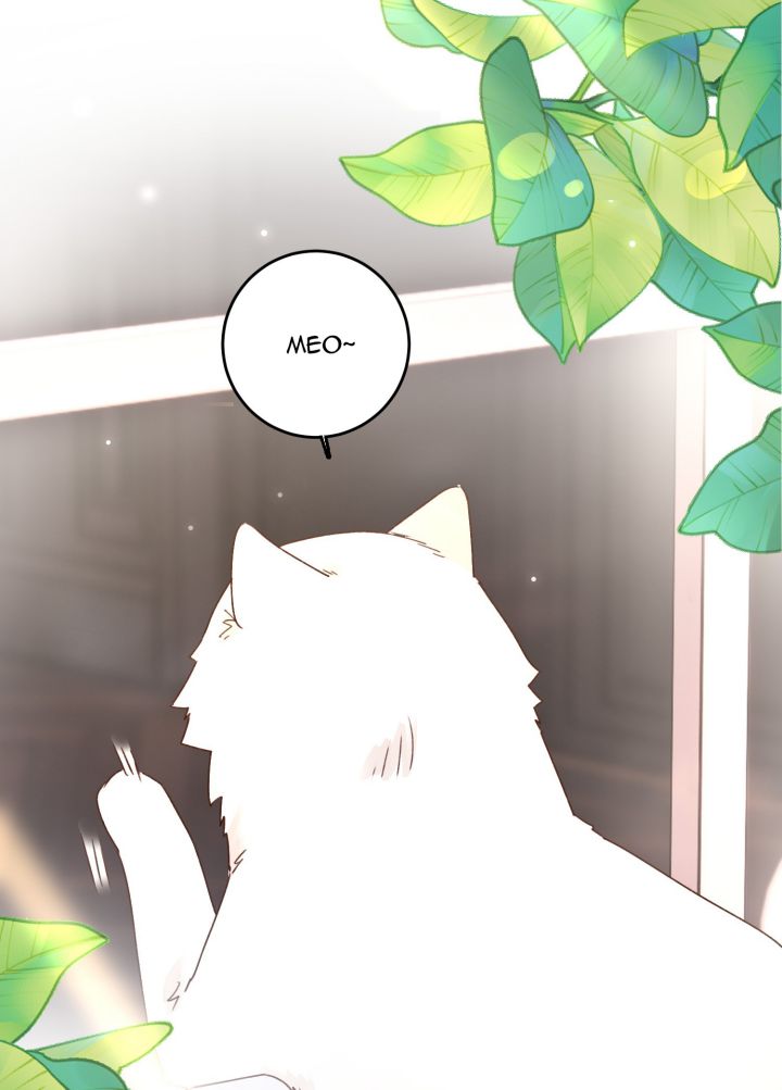 Tôi Phải Làm 1 Kẻ Đại Xấu Xa Chap 15 - Next Chap 16