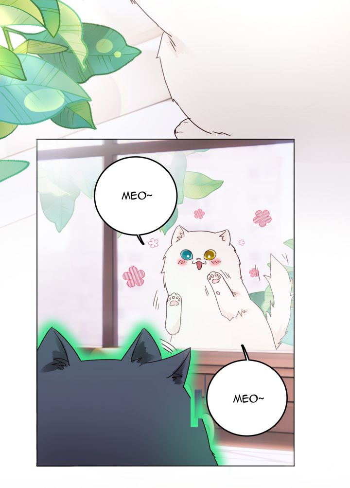 Tôi Phải Làm 1 Kẻ Đại Xấu Xa Chap 15 - Next Chap 16