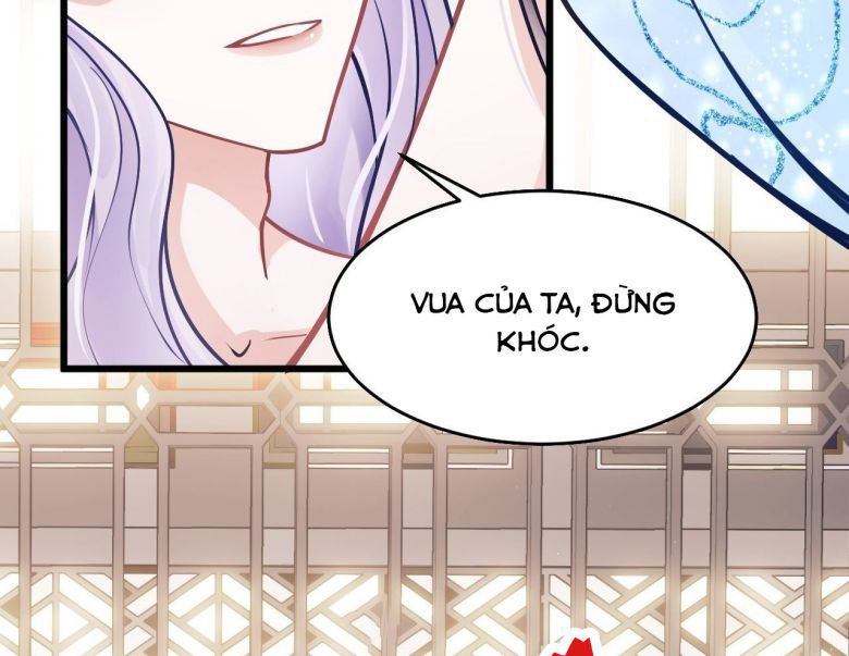 Tôi Hoài Nghi Ảnh Đế Đang Theo Đuổi Tôi Chapter 6 - Next Chapter 7