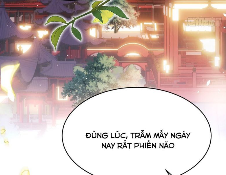 Tôi Hoài Nghi Ảnh Đế Đang Theo Đuổi Tôi Chapter 6 - Next Chapter 7