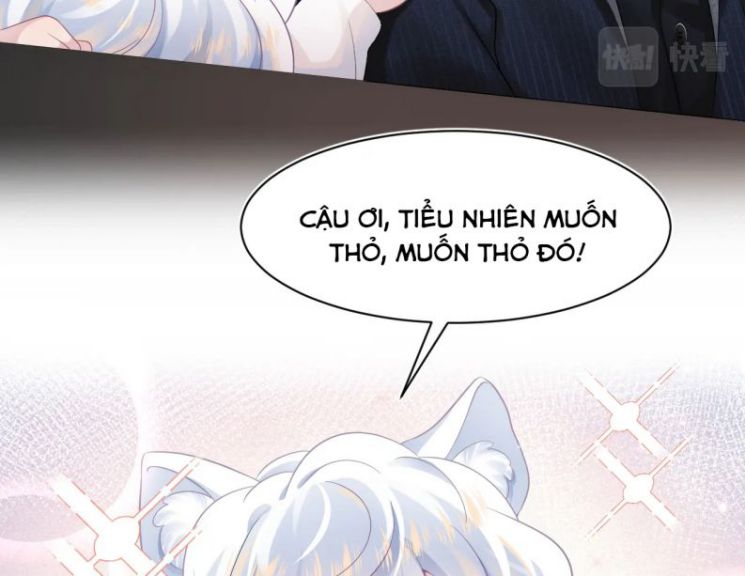 Tuyệt Mỹ Bạch Liên Hoa Online Dạy Học Chapter 67 - Trang 4