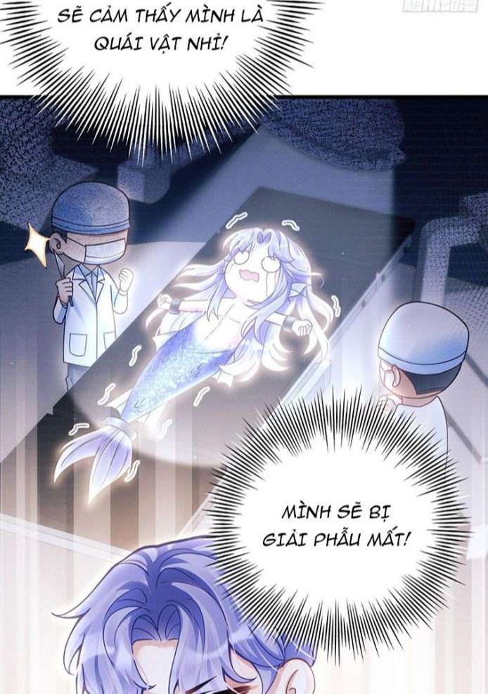 Tôi Hoài Nghi Ảnh Đế Đang Theo Đuổi Tôi Chapter 27 - Next Chapter 28