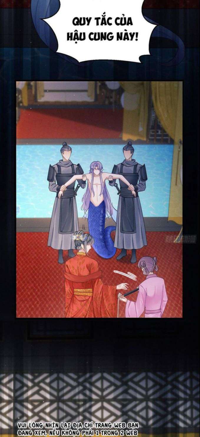 Tôi Hoài Nghi Ảnh Đế Đang Theo Đuổi Tôi Chapter 31 - Next Chapter 31