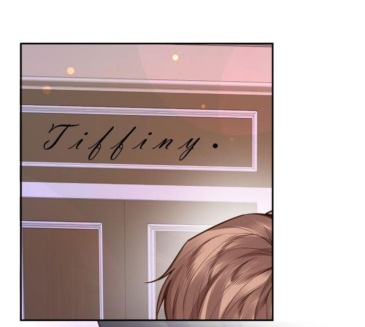 Tổng Tài Định Chế Tư Nhân Chapter 5 - Next Chapter 6