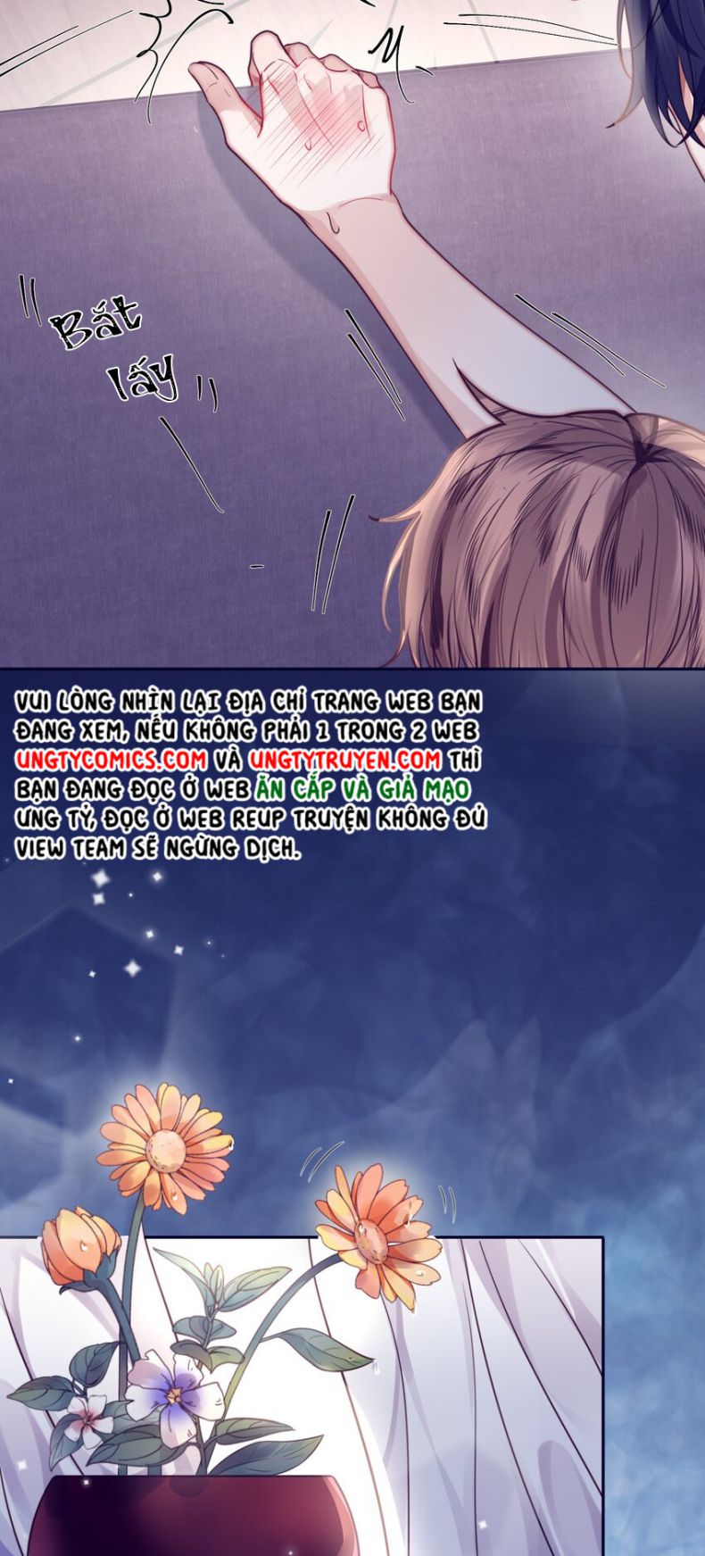 Tổng Tài Định Chế Tư Nhân Chapter 17 - Next Chapter 18