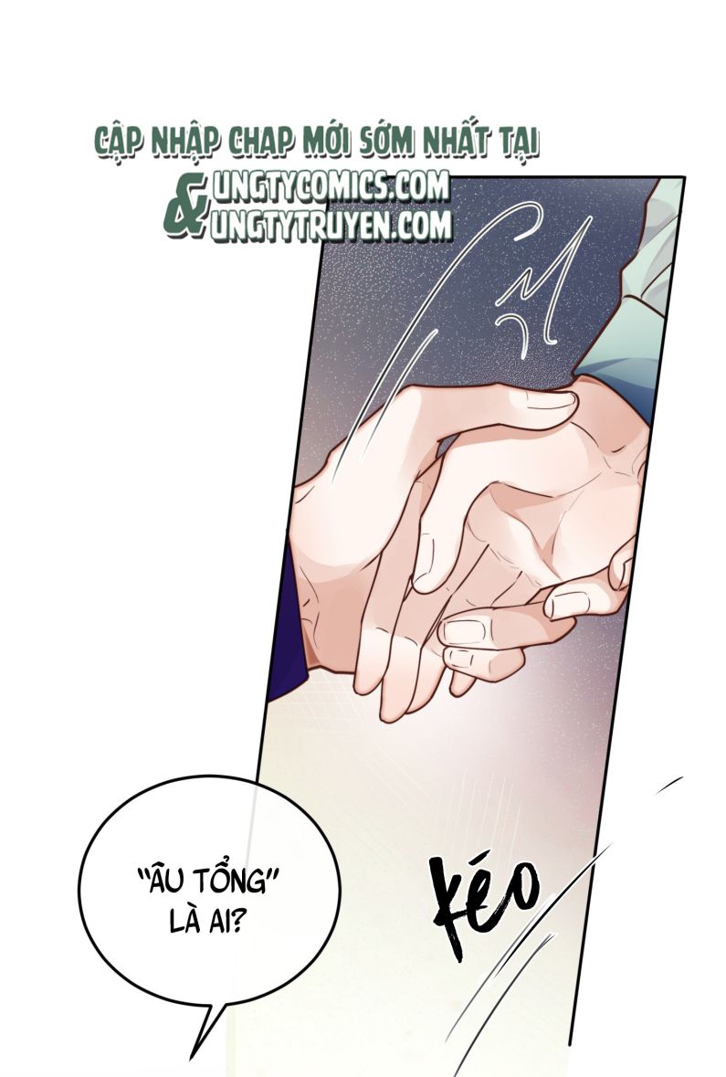 Tổng Tài Định Chế Tư Nhân Chapter 20 - Next Chapter 21