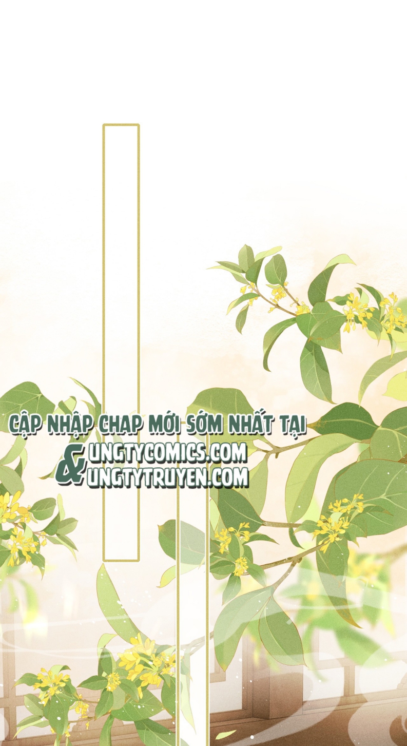 Đan Tiêu Vạn Dặm Chapter 6 - Next Chapter 7