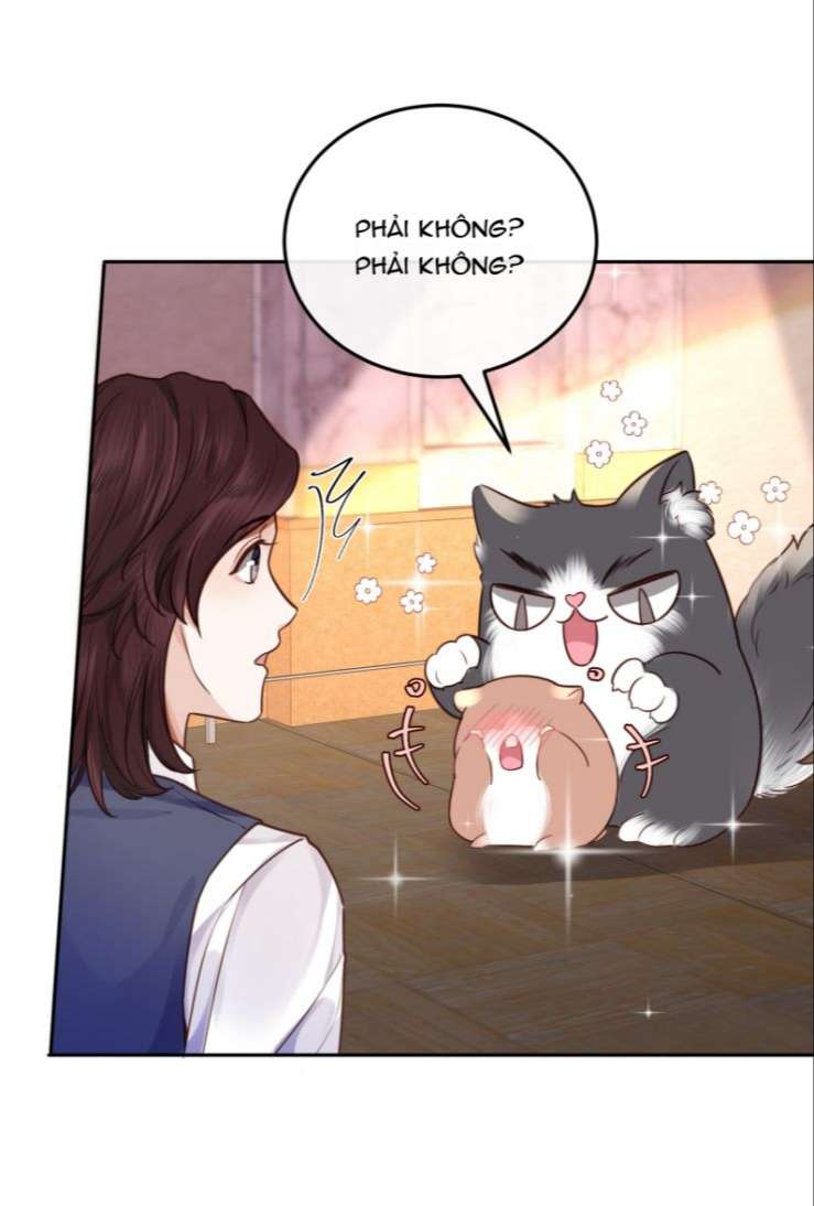 Tổng Tài Định Chế Tư Nhân Chapter 24 - Next Chapter 25