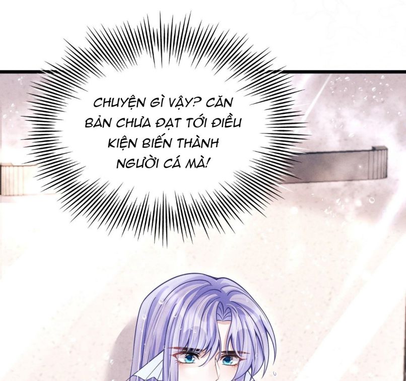 Tôi Hoài Nghi Ảnh Đế Đang Theo Đuổi Tôi Chapter 60 - Next Chapter 61