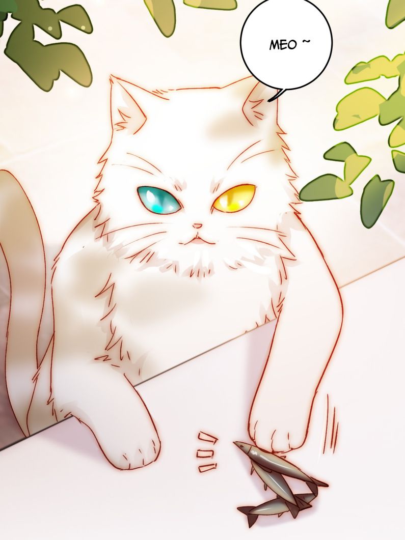 Tôi Phải Làm 1 Kẻ Đại Xấu Xa Chapter 69 - Next Chapter 70