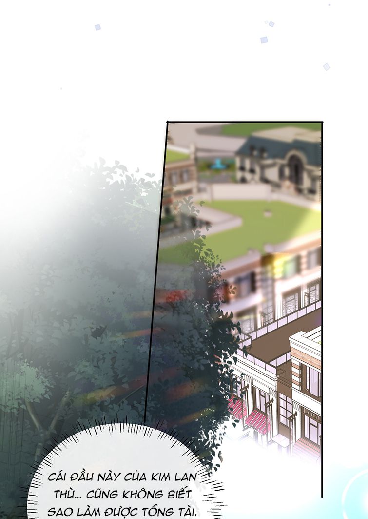 Tổng Tài Định Chế Tư Nhân Chapter 27 - Next Chapter 28