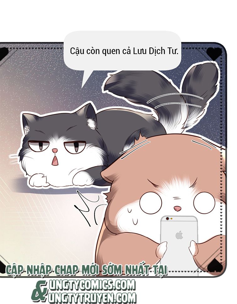 Tổng Tài Định Chế Tư Nhân Chapter 27 - Next Chapter 28