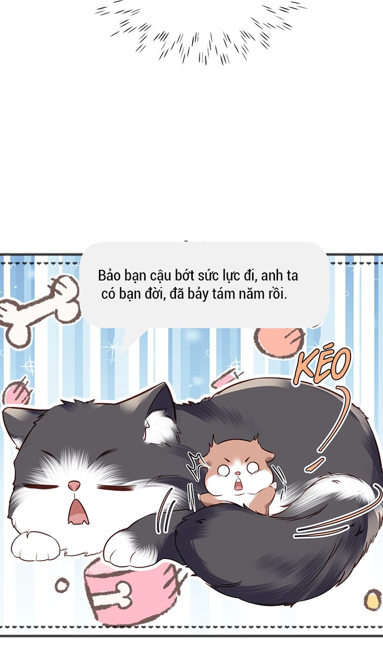Tổng Tài Định Chế Tư Nhân Chapter 27 - Next Chapter 28