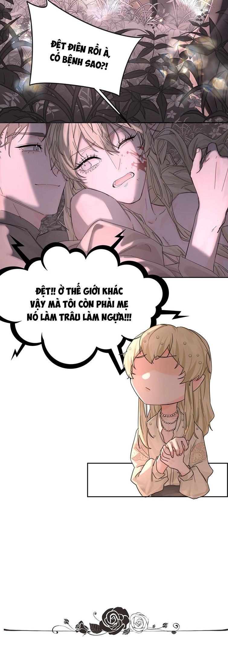 Tiền Nhiệm Vi Vương Văn Án - Next Chapter 1