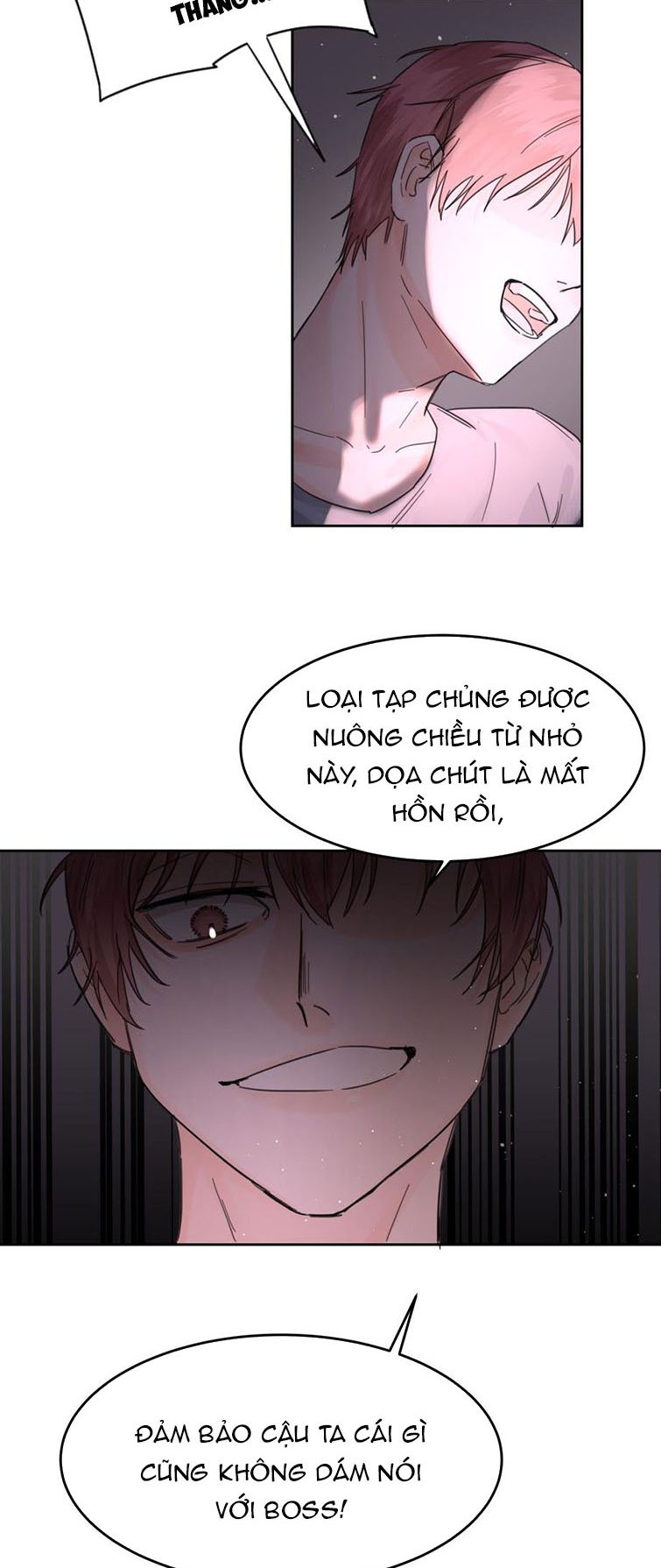 Tiền Nhiệm Vi Vương Chapter 4 - Next Chapter 5