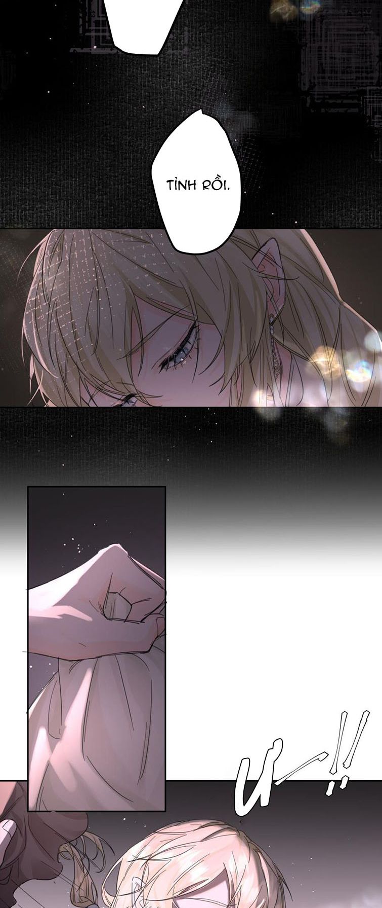 Tiền Nhiệm Vi Vương Chapter 4 - Next Chapter 5
