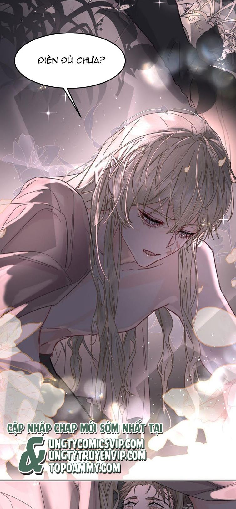 Tiền Nhiệm Vi Vương Chapter 5 - Next Chapter 6