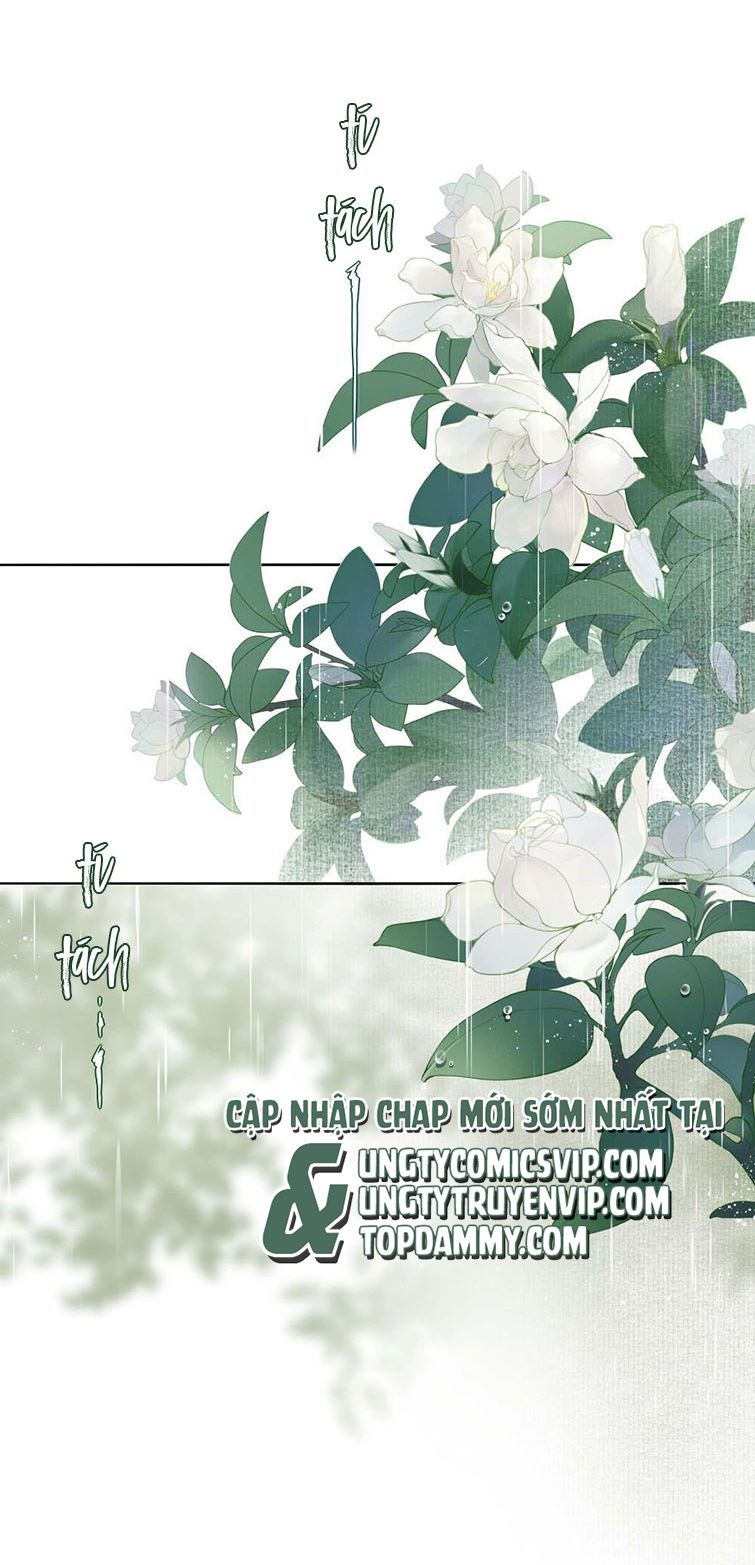 Sau Khi Chết Ta Trở Thành Nốt Chu Sa Của Ca Ca Chapter 2 - Next Chapter 3