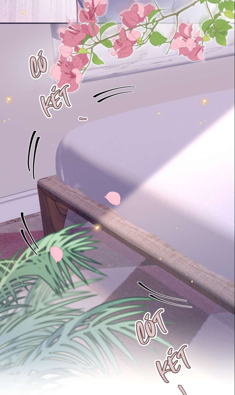 Tổng Tài Định Chế Tư Nhân Chapter 36 - Next Chapter 37