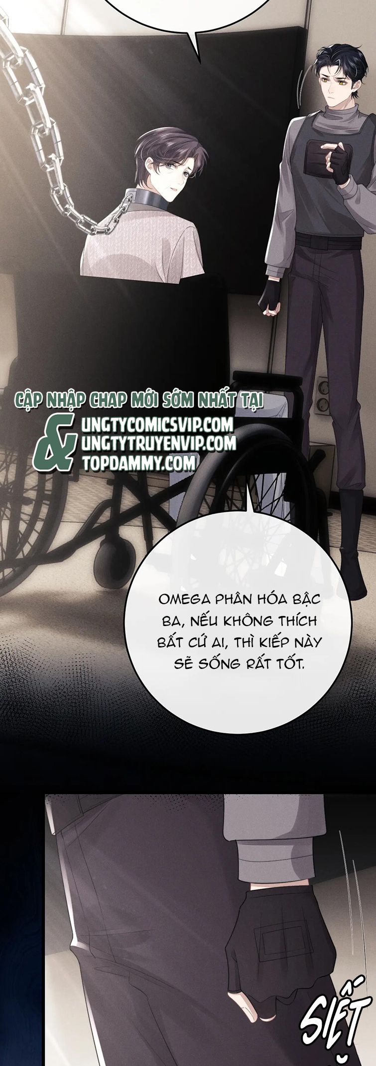 Chấp Sự Thỏ Cụp Tai Chapter 31 - Next Chapter 32