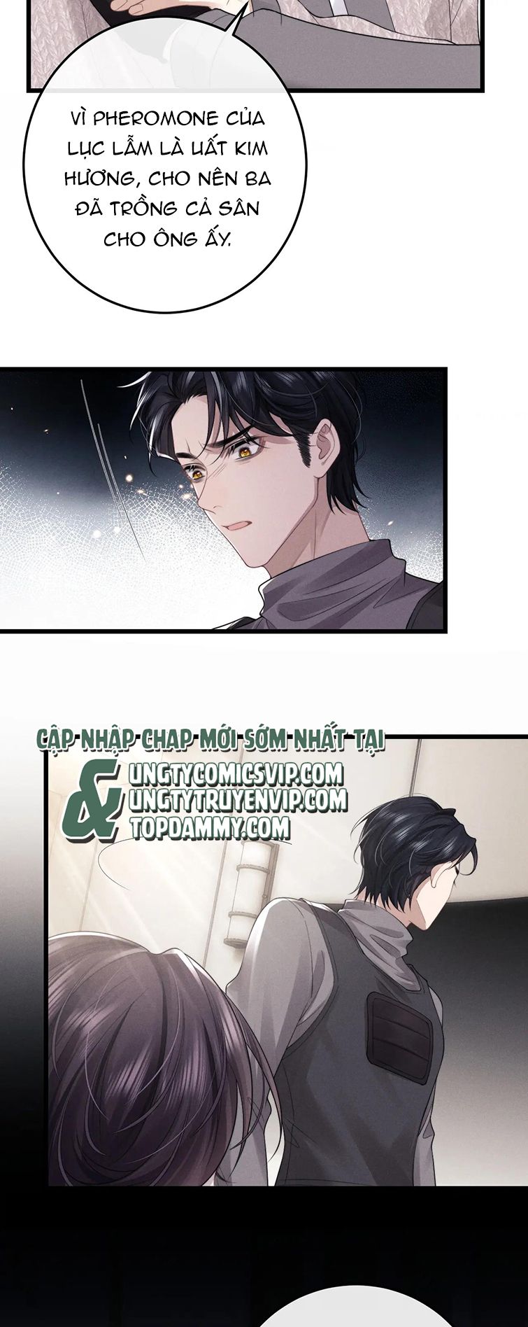Chấp Sự Thỏ Cụp Tai Chapter 31 - Next Chapter 32