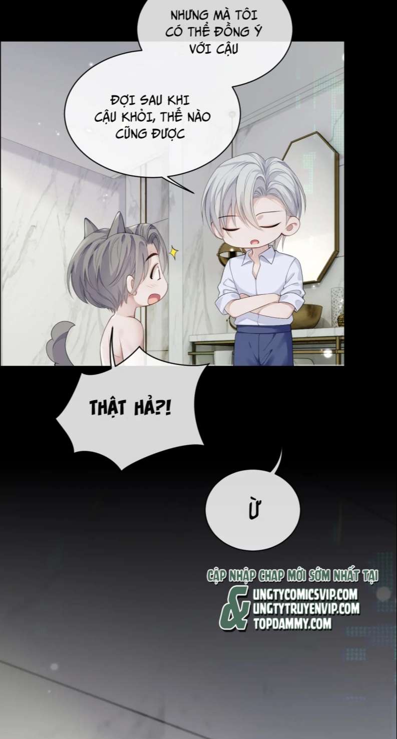 Đơn Xin Ly Hôn Chapter 84 - Next Chapter 85