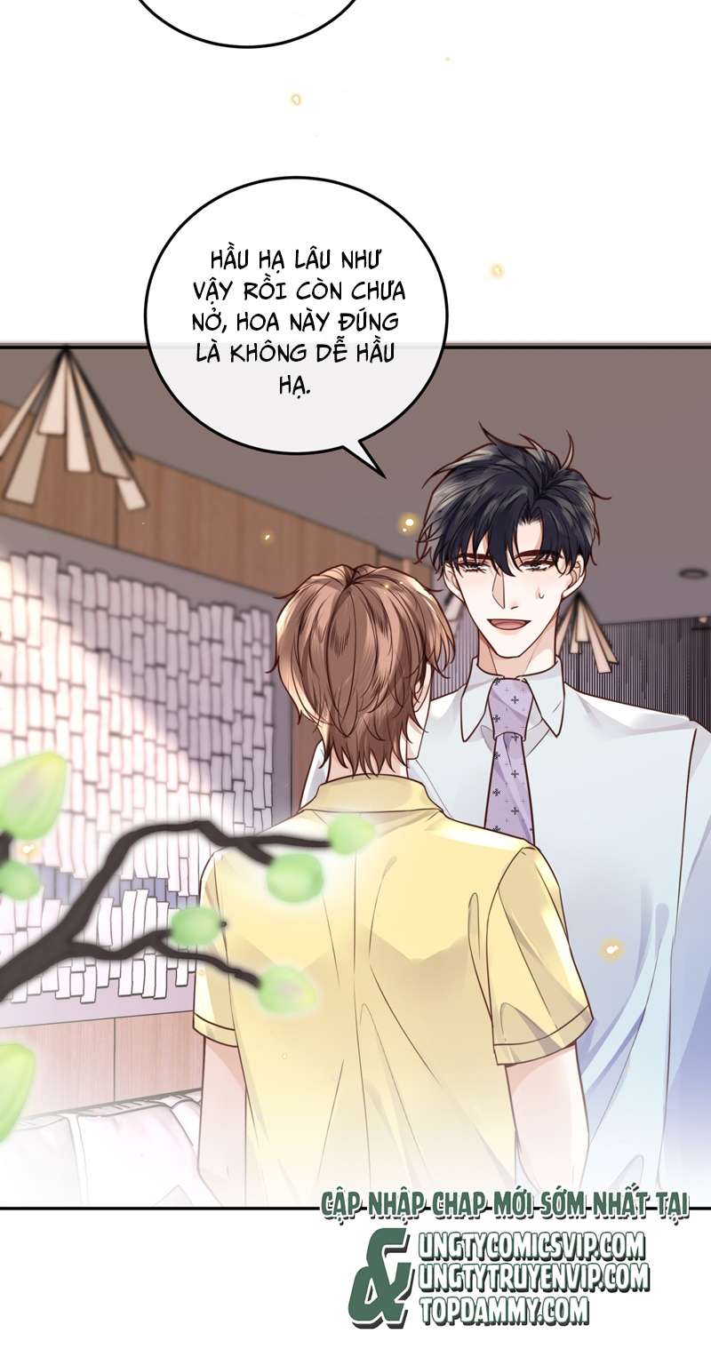Tổng Tài Định Chế Tư Nhân Chapter 44 - Next Chapter 45
