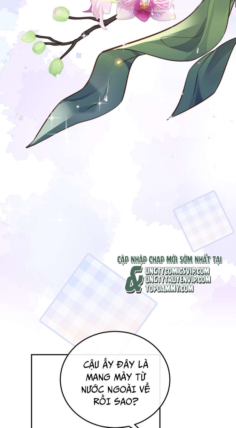 Tổng Tài Định Chế Tư Nhân Chapter 44 - Next Chapter 45