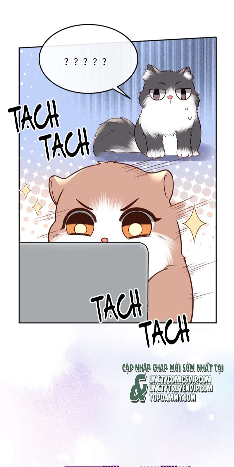 Tổng Tài Định Chế Tư Nhân Chapter 44 - Next Chapter 45