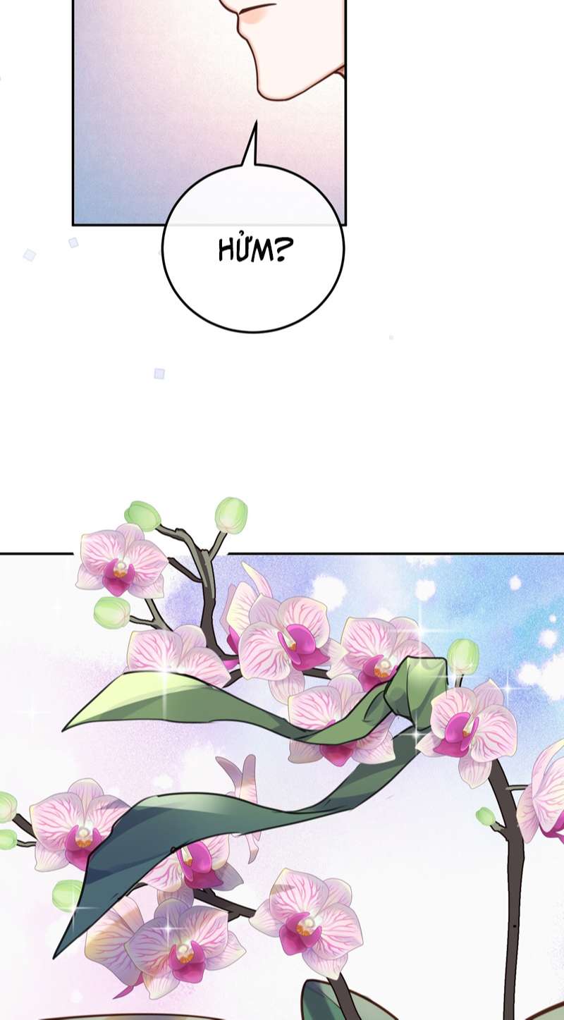 Tổng Tài Định Chế Tư Nhân Chapter 44 - Next Chapter 45