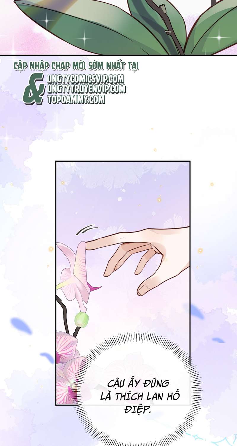 Tổng Tài Định Chế Tư Nhân Chapter 44 - Next Chapter 45
