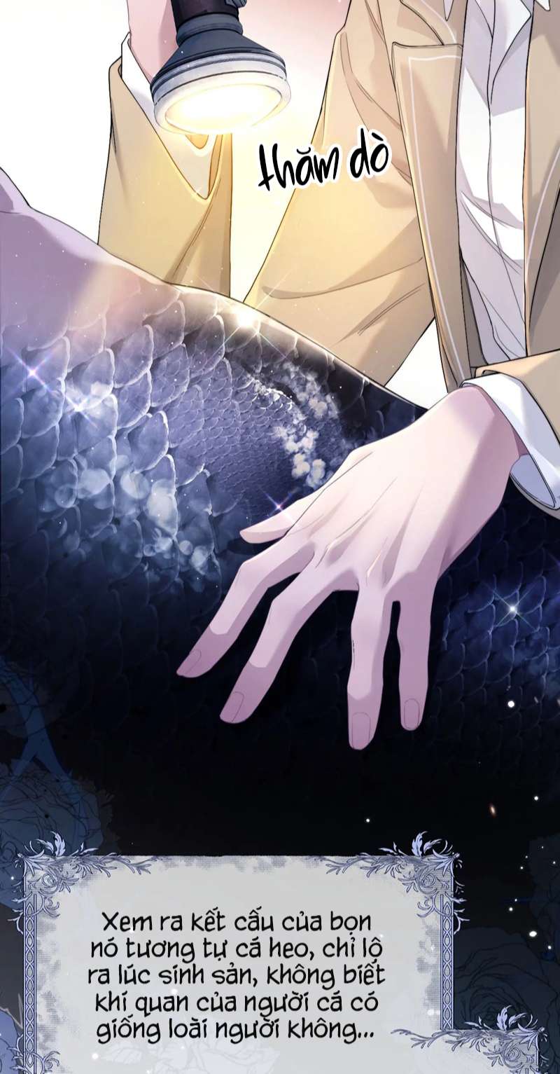 Desharow Nhân Ngư Chapter 1 - Next Chap 1