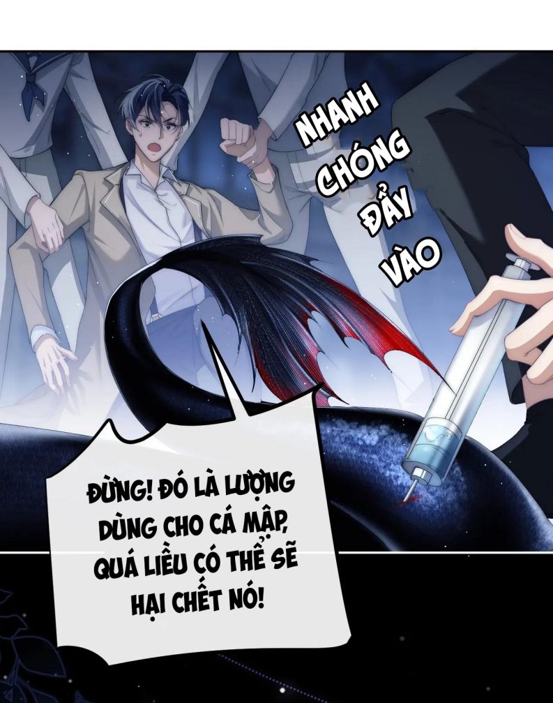 Desharow Nhân Ngư Chap 2 - Next Chapter 2