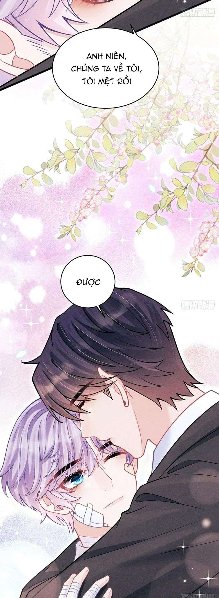 Tôi Hoài Nghi Ảnh Đế Đang Theo Đuổi Tôi Chapter 85 - Next Chapter 86