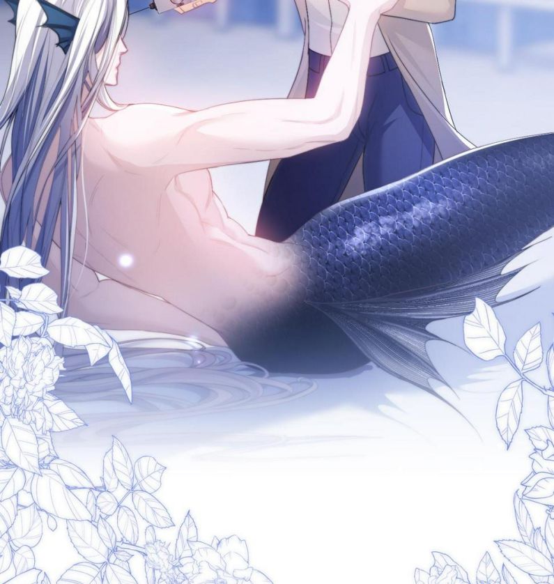 Desharow Nhân Ngư Chapter 4 - Next Chapter 5
