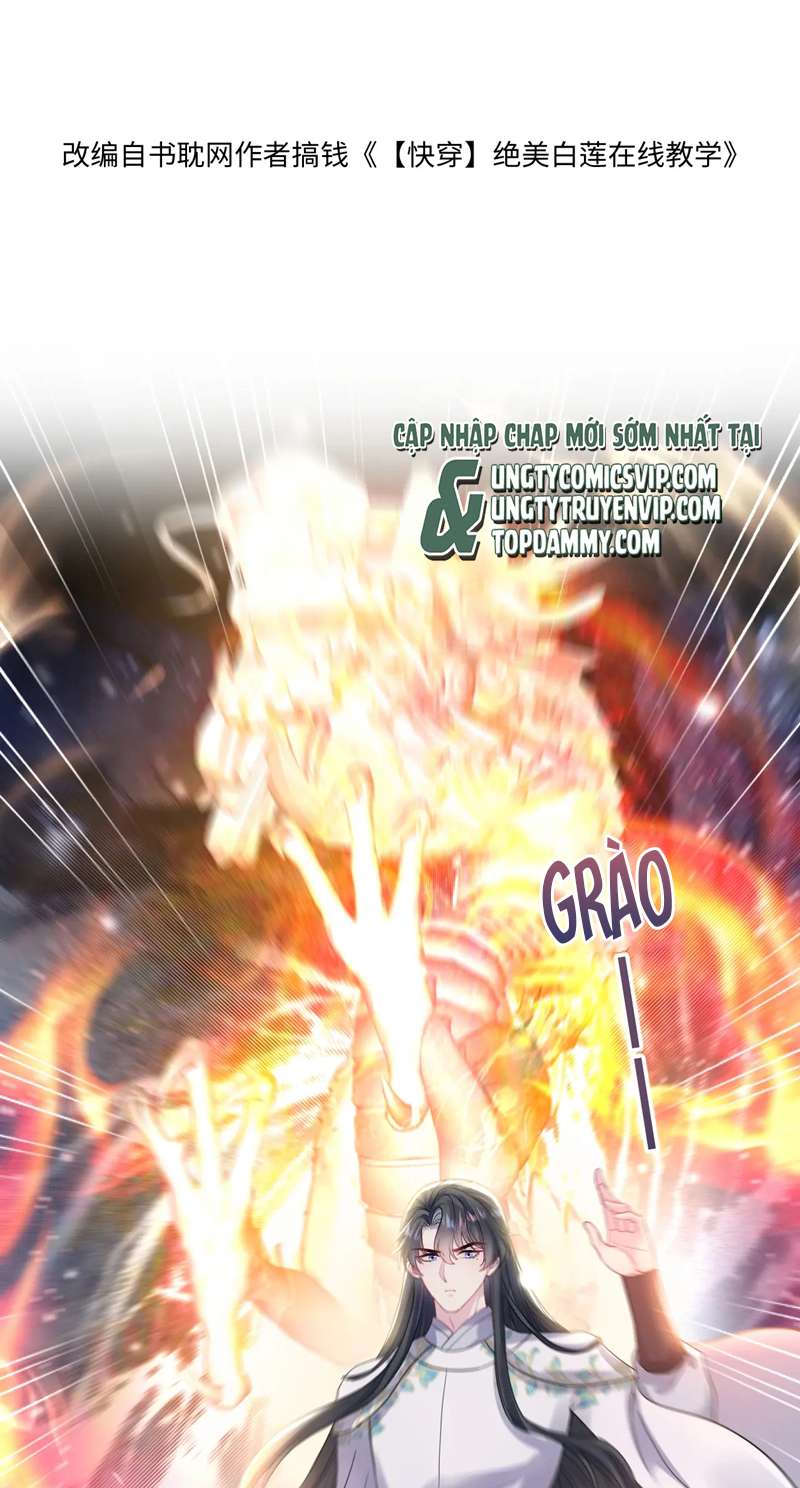 Tuyệt Mỹ Bạch Liên Hoa Online Dạy Học Chapter 182 - Trang 3