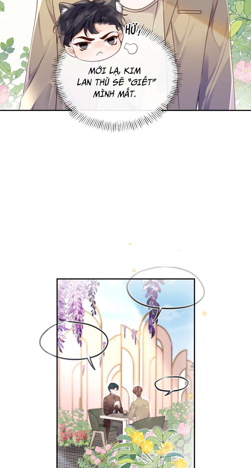 Tổng Tài Định Chế Tư Nhân Chapter 47 - Next Chapter 48