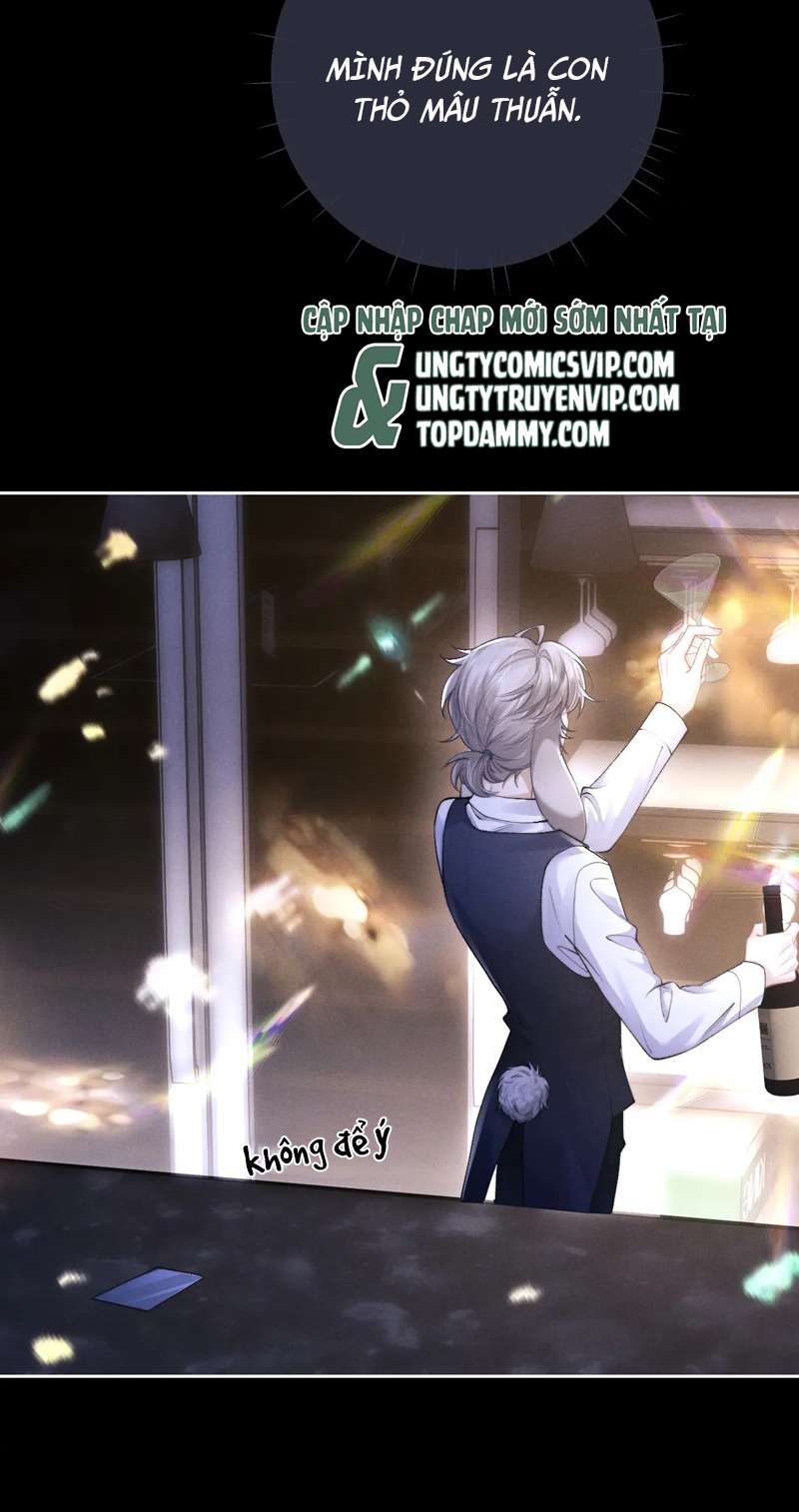 Chấp Sự Thỏ Cụp Tai Chapter 45 - Next Chapter 46