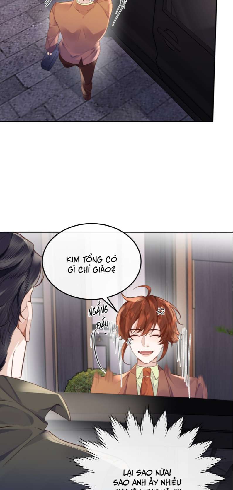 Tổng Tài Định Chế Tư Nhân Chapter 51 - Next Chapter 52