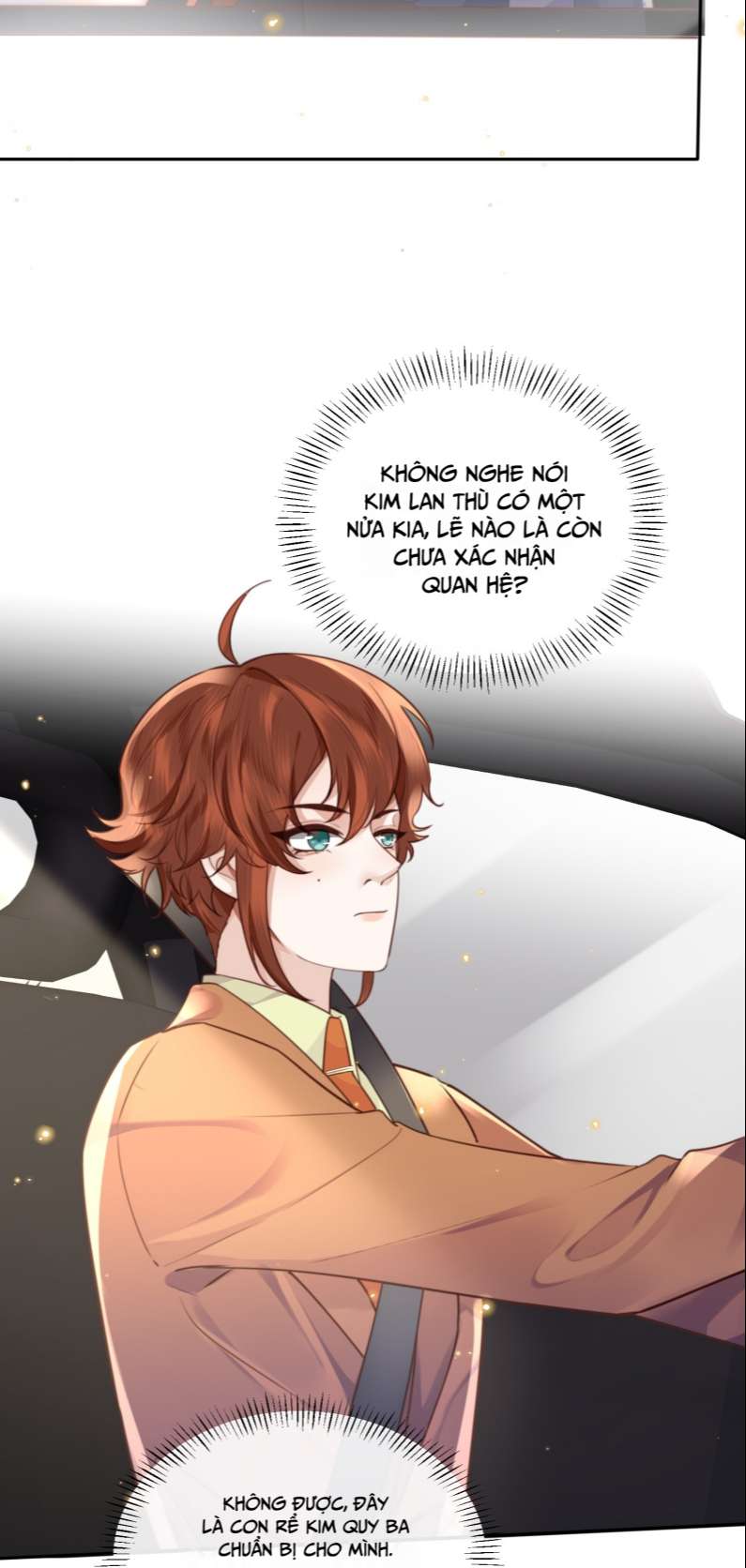 Tổng Tài Định Chế Tư Nhân Chapter 51 - Next Chapter 52