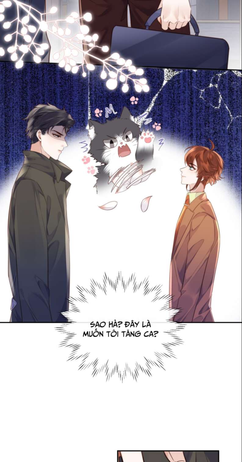 Tổng Tài Định Chế Tư Nhân Chapter 51 - Next Chapter 52