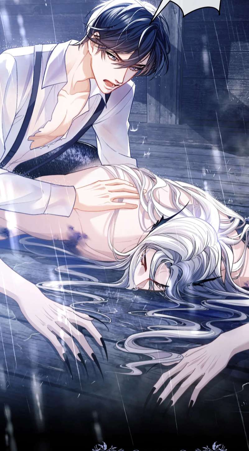 Desharow Nhân Ngư Chapter 8 - Next Chapter 9