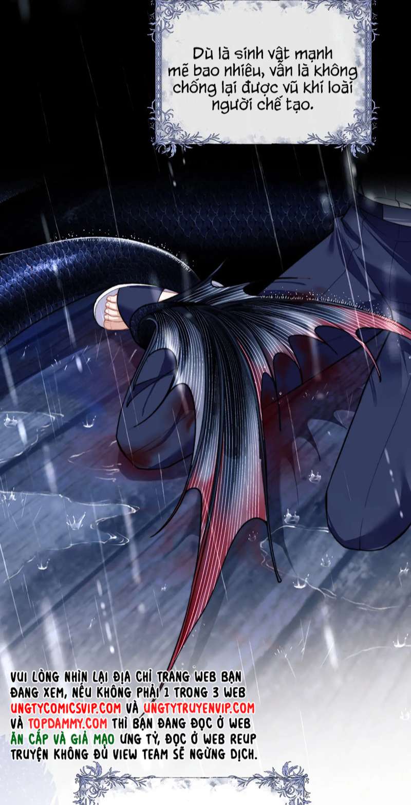 Desharow Nhân Ngư Chapter 8 - Next Chapter 9
