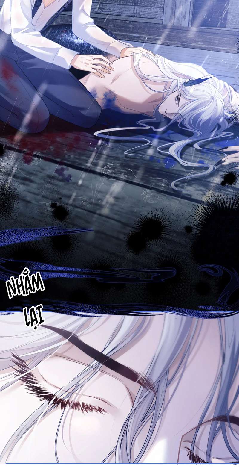 Desharow Nhân Ngư Chapter 8 - Next Chapter 9