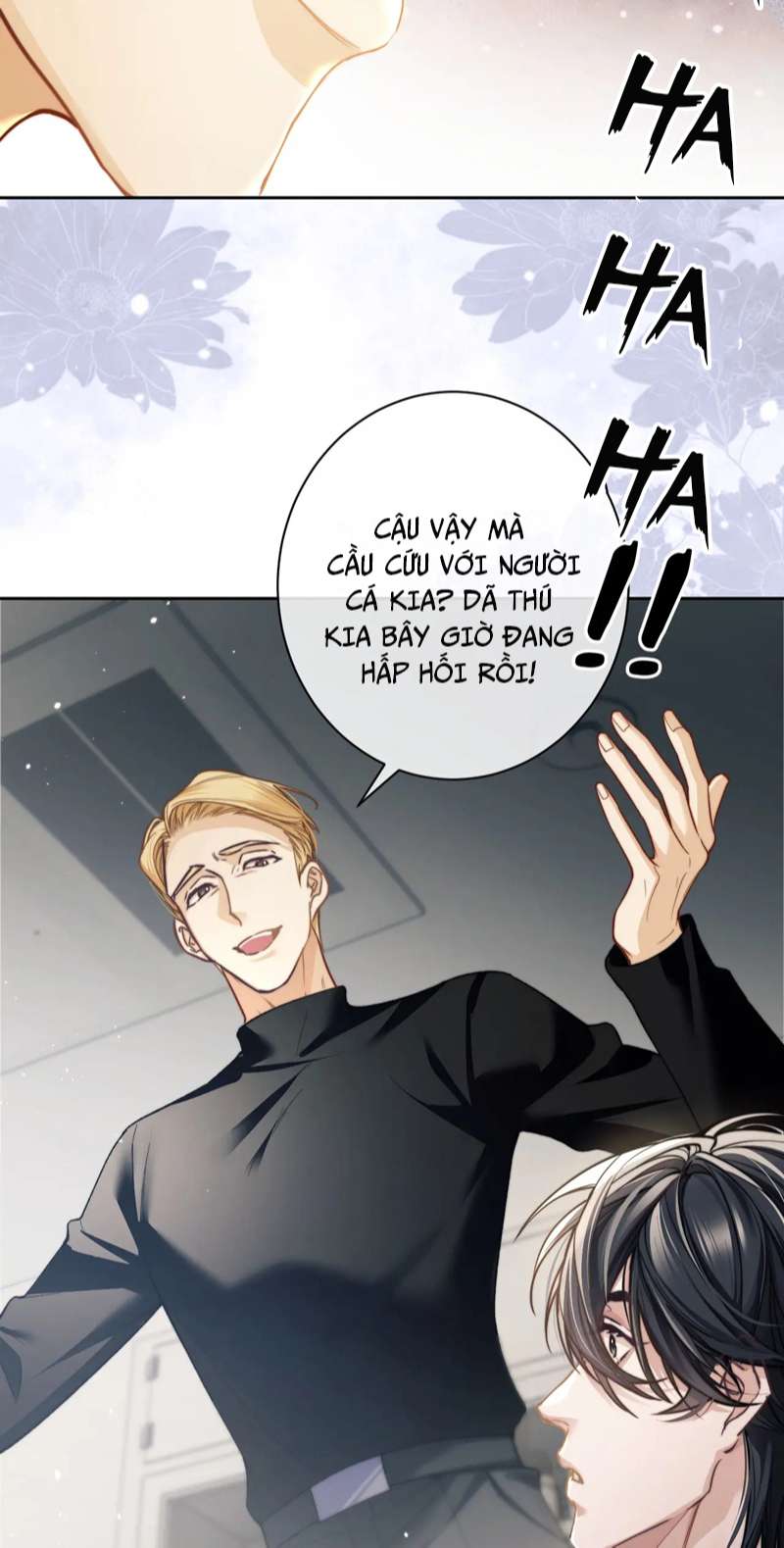 Desharow Nhân Ngư Chapter 8 - Next Chapter 9