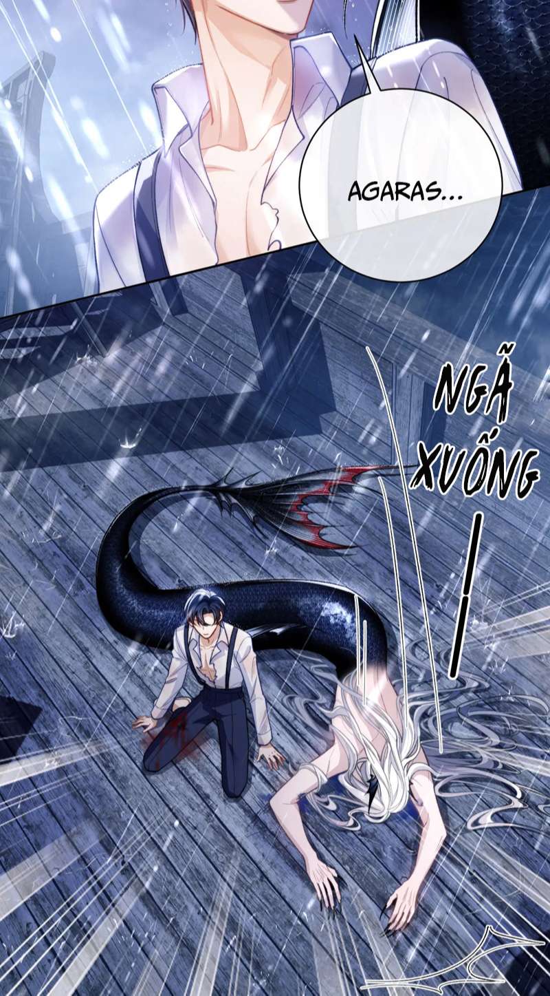 Desharow Nhân Ngư Chapter 8 - Next Chapter 9