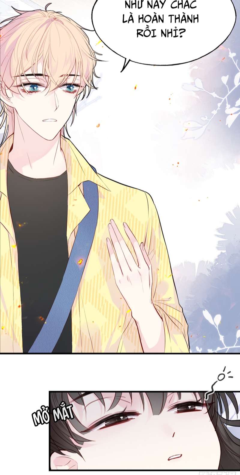 Anh Ấy Chưa Từng Rơi Xuống Chap 14 - Next Chap 15