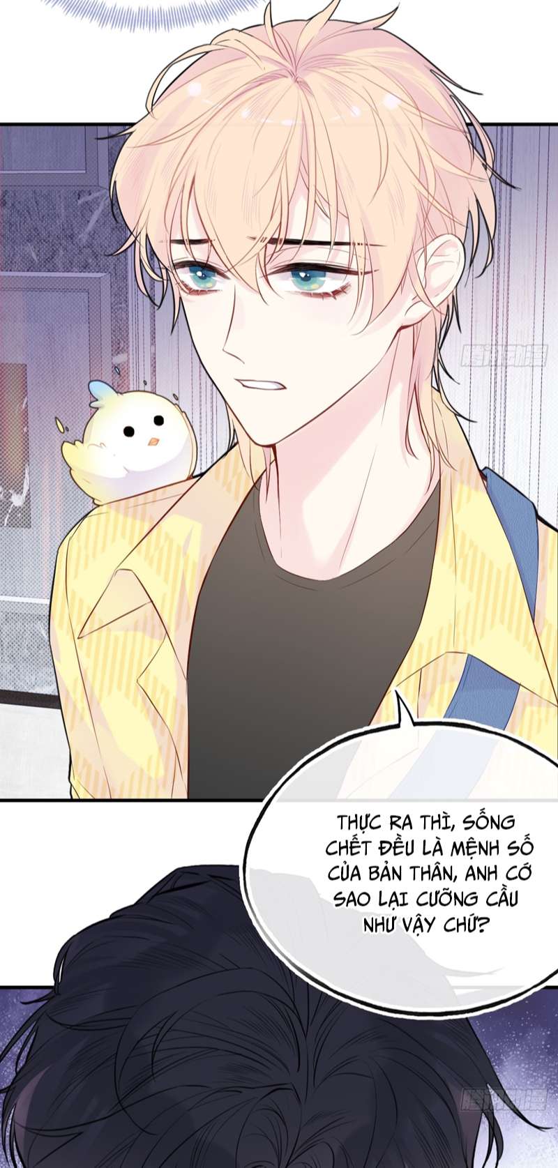 Anh Ấy Chưa Từng Rơi Xuống Chap 15 - Next Chap 16