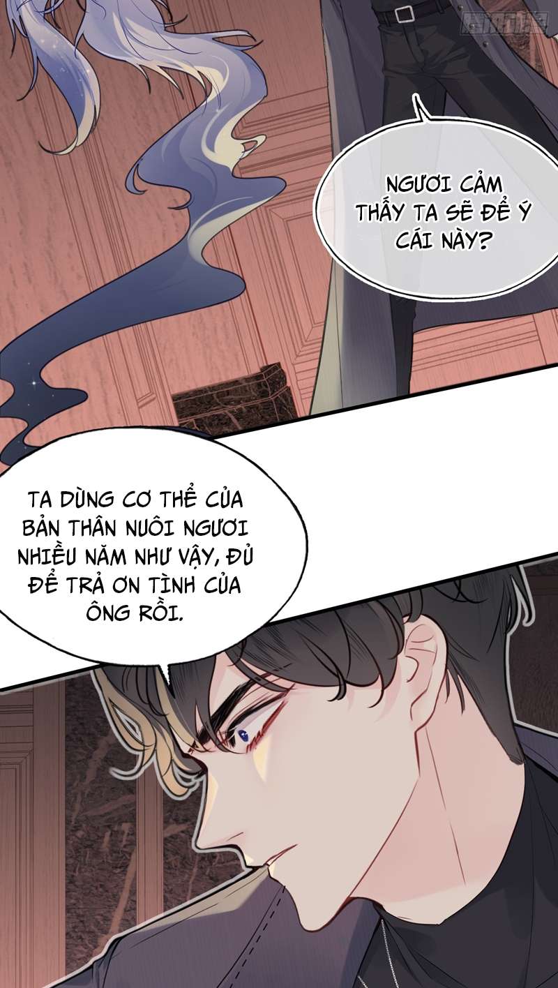Anh Ấy Chưa Từng Rơi Xuống Chap 16 - Next Chap 17