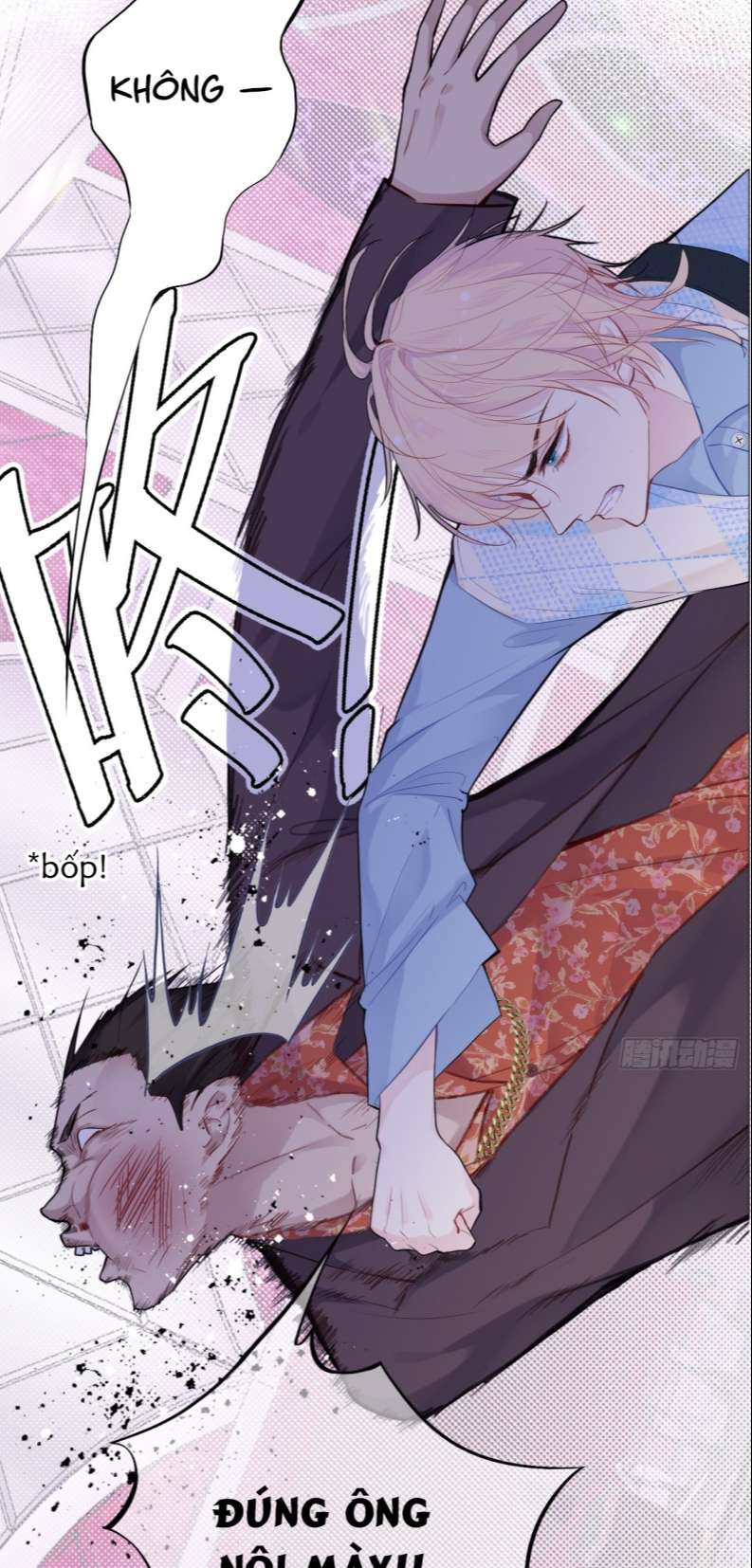Anh Ấy Chưa Từng Rơi Xuống Chap 17 - Next Chapter 17